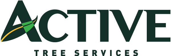 Main Logo